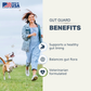 Four Leaf Rover Gut Guard | Natural Support for Irritated + Leaky Gut