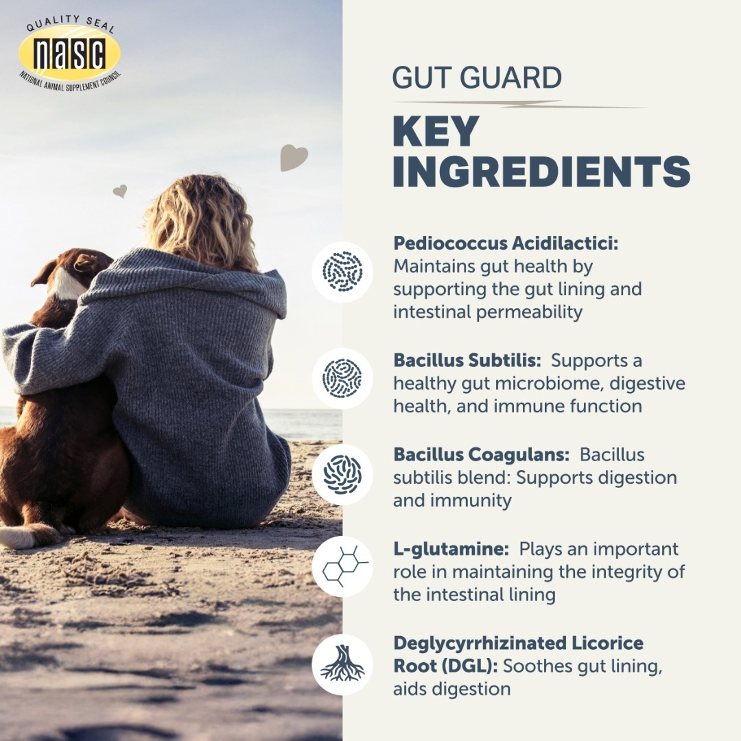 Four Leaf Rover Gut Guard | Natural Support for Irritated + Leaky Gut