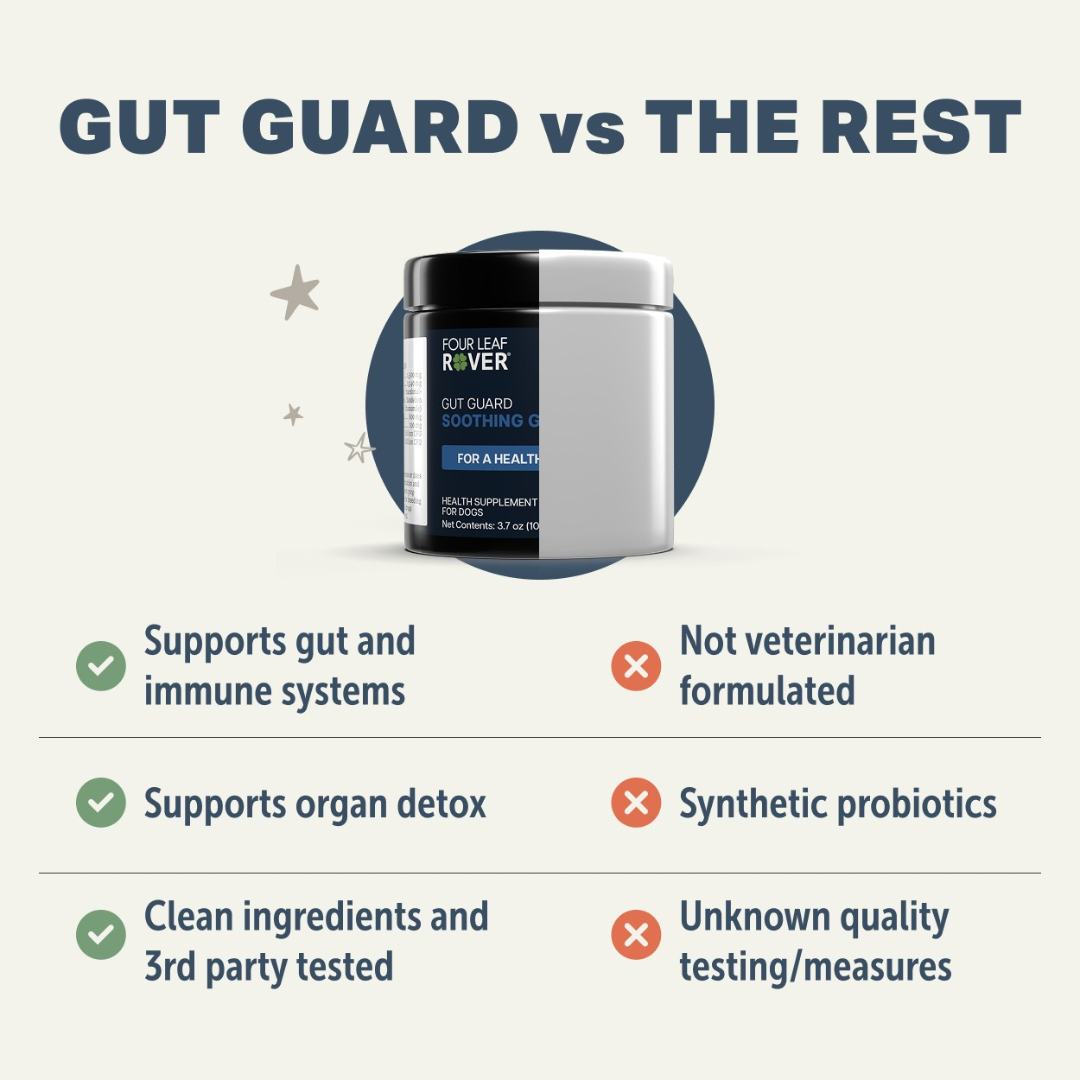 Four Leaf Rover Gut Guard | Natural Support for Irritated + Leaky Gut