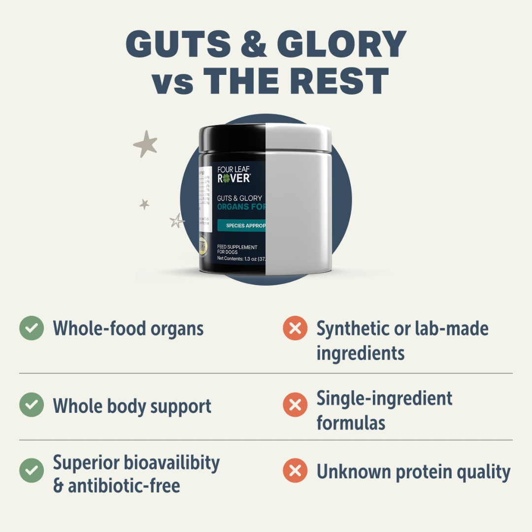 Four Leaf Rover Guts & Glory | Grass-Fed Organ Blend