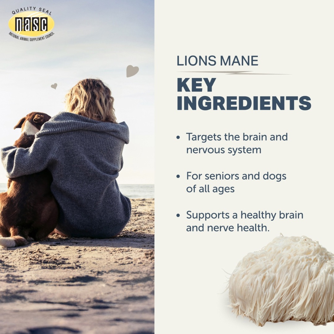 Four Leaf Rover Organic Lion’s Mane Mushrooms
