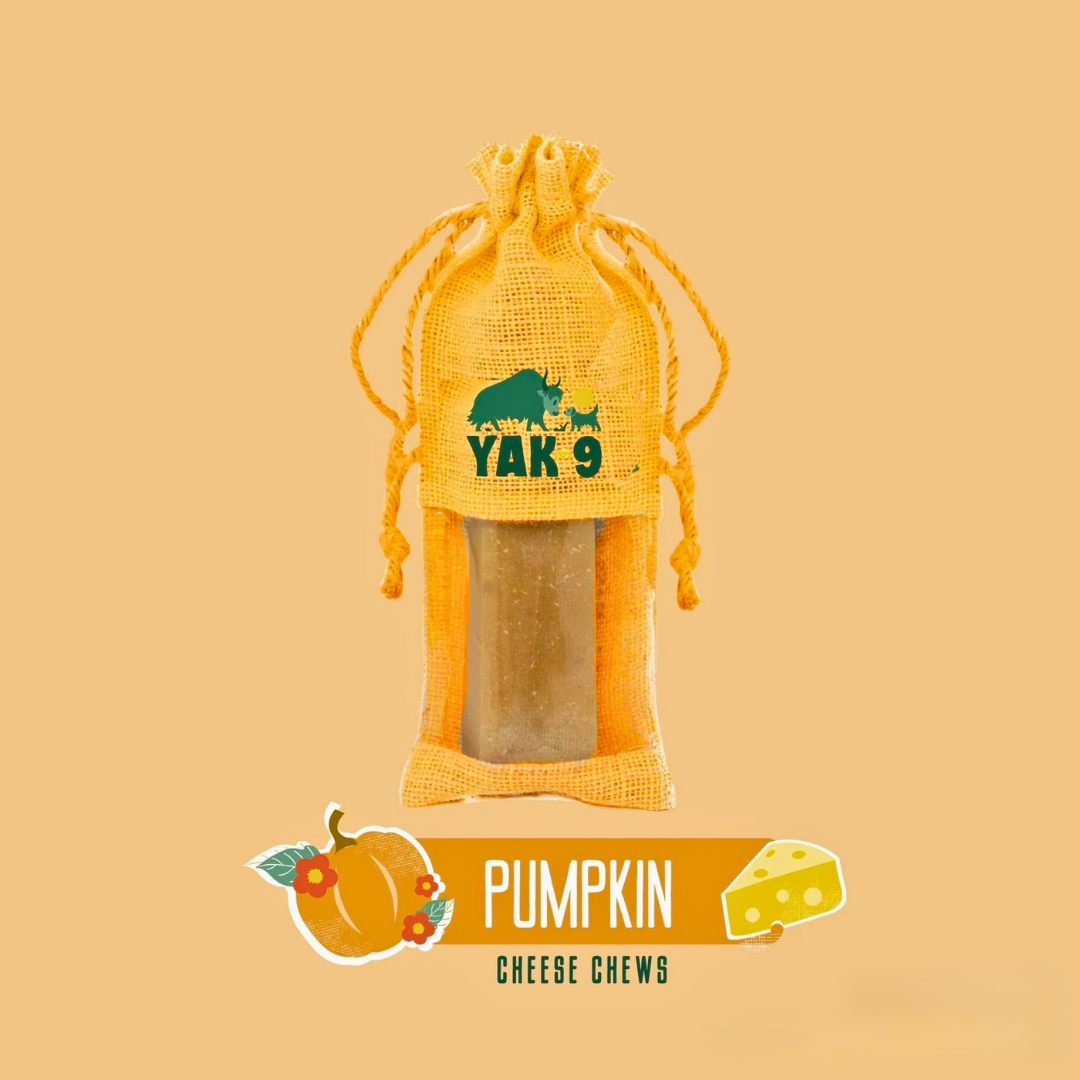 Yak9 Yak Chew | Pumpkin