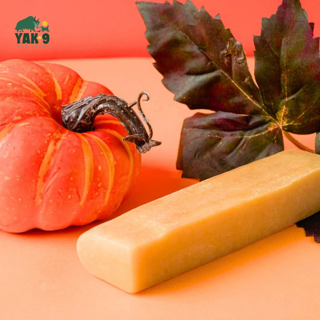 Yak9 Yak Chew | Pumpkin