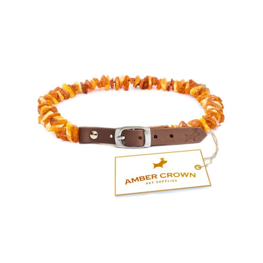 Amber Crown Organic Flea + Tick Collar