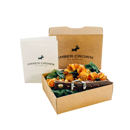 Organic Amber Flea + Tick Collar