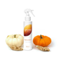 Grow Natural Air Freshener | Ginger Pumpkin