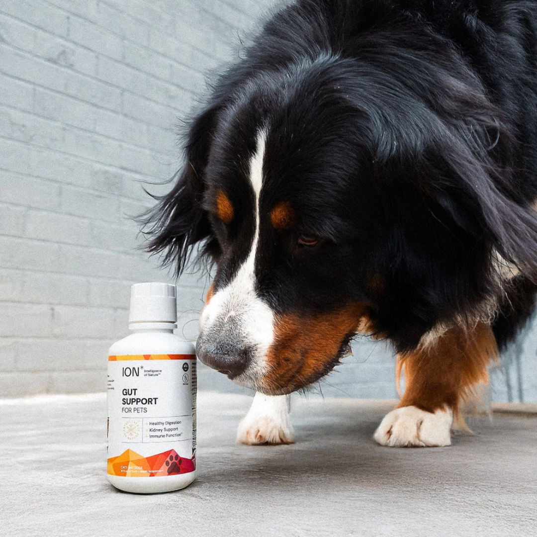 ION* | Soil-Derived Supplement for Gut Health + Toxin Defense + Nutrient Absorption