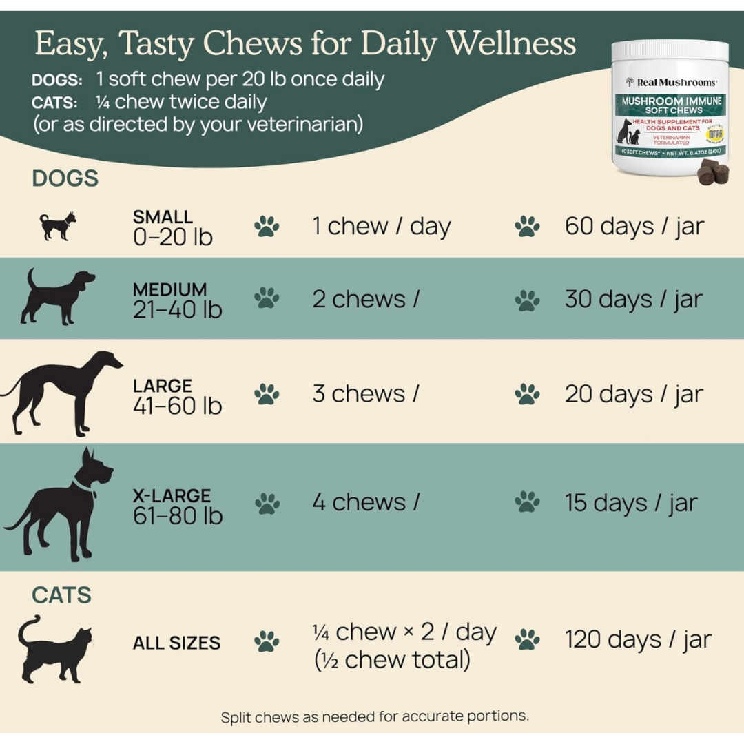 Real Mushrooms Immune Chews