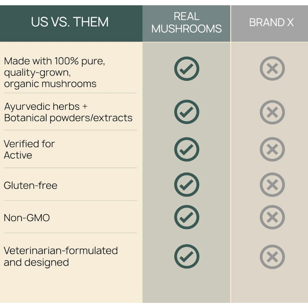 Real Mushrooms Immune Chews