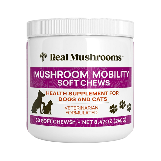 Real Mushrooms Mobility Chews