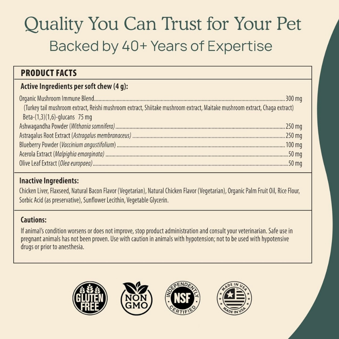 Real Mushrooms Immune Chews