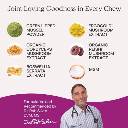 Real Mushrooms Mobility Chews