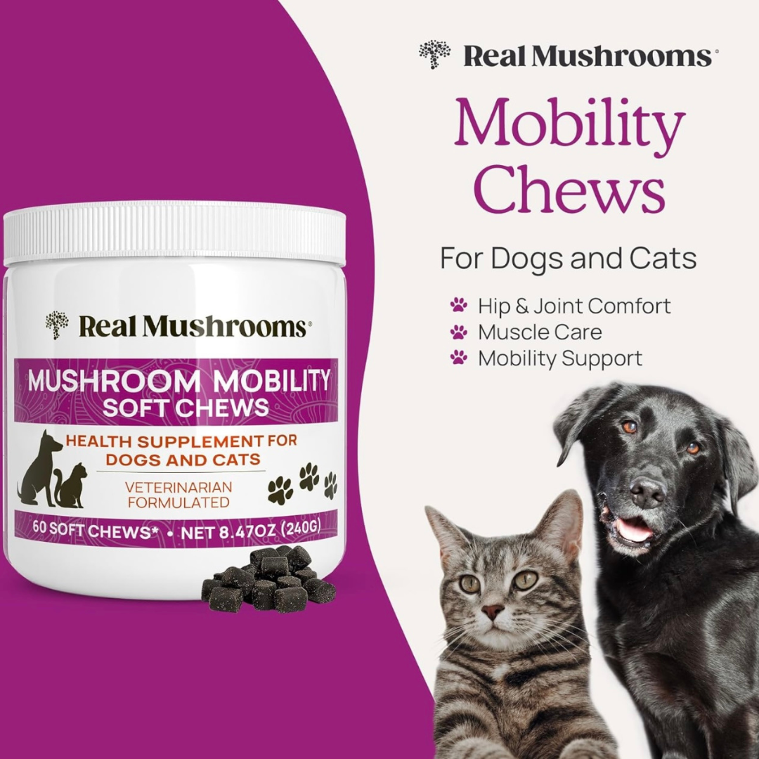 Real Mushrooms Mobility Chews