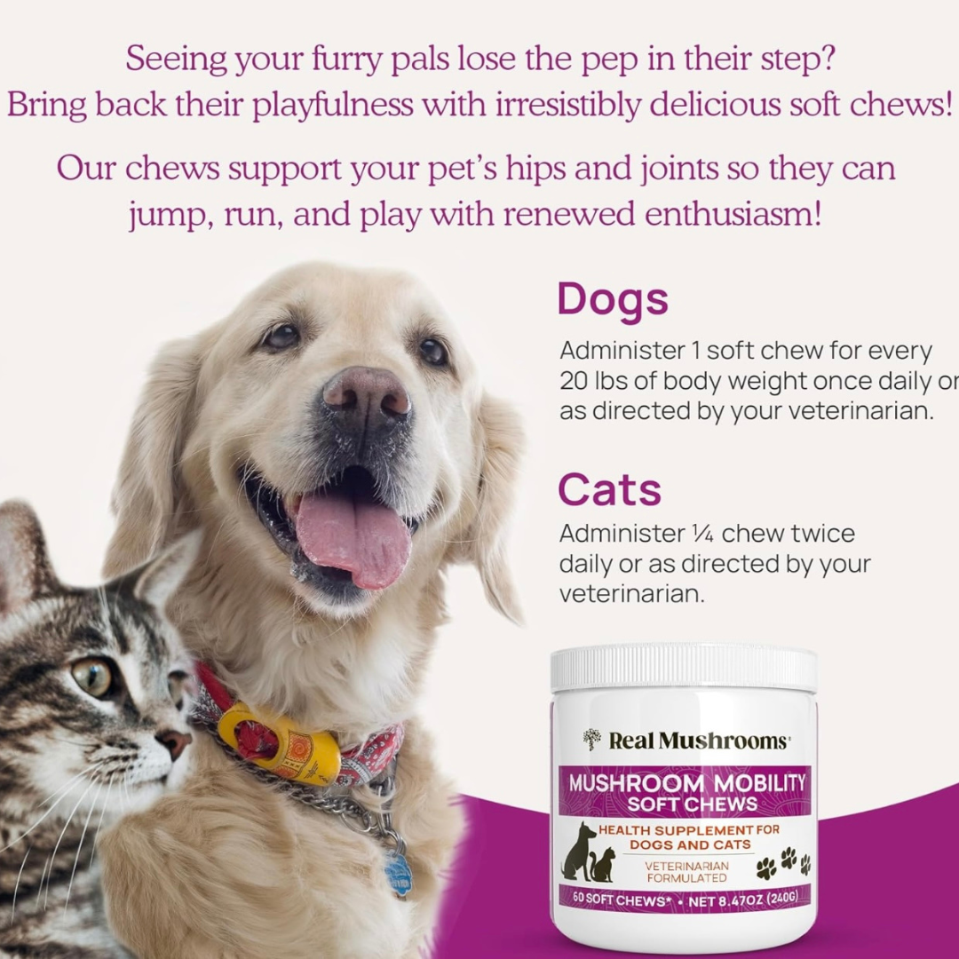 Real Mushrooms Mobility Chews