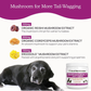 Real Mushrooms Mobility Chews
