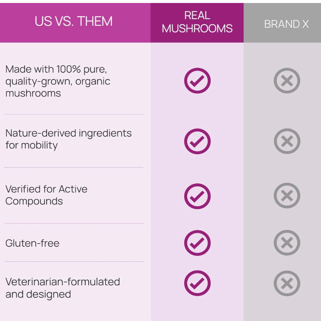 Real Mushrooms Mobility Chews