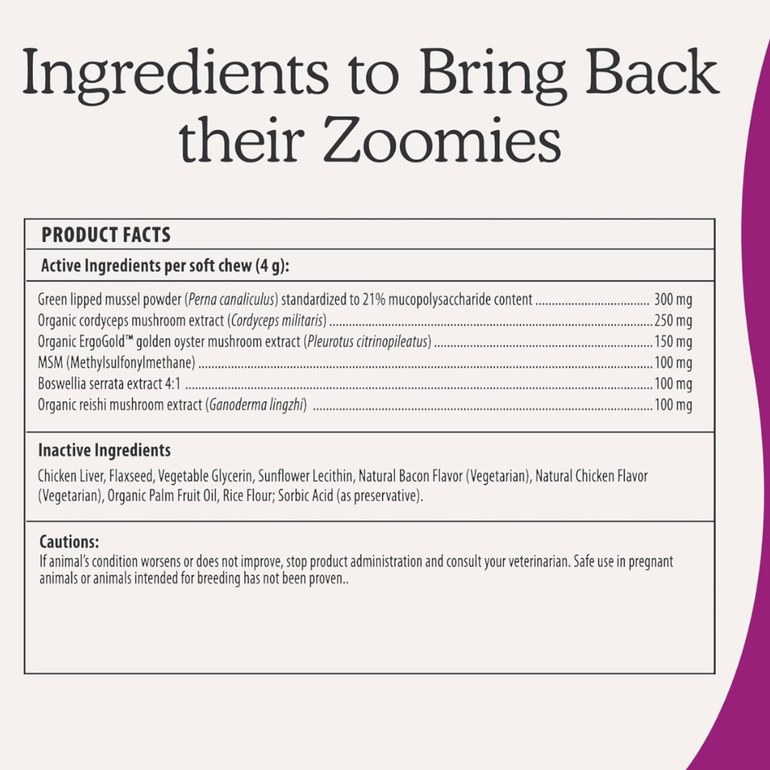 Real Mushrooms Mobility Chews