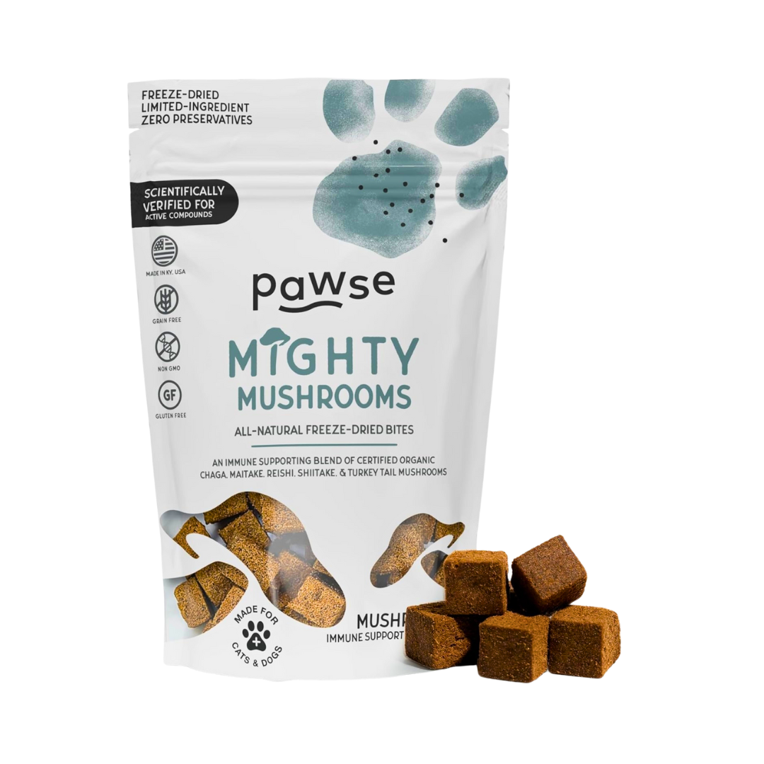 Pawse Mighty Mushrooms | Freeze-Dried Medicinal Mushroom Treats