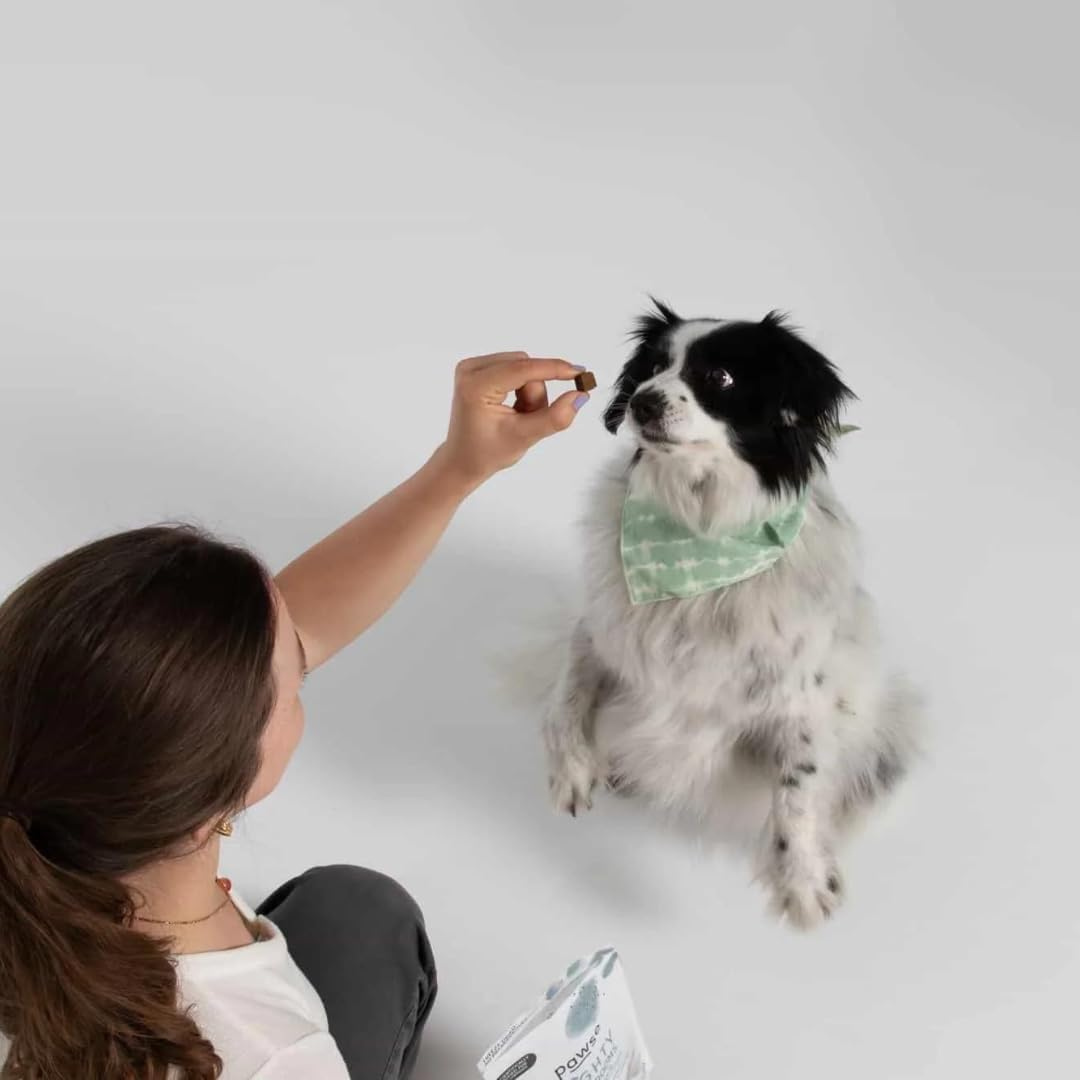 Pawse Mighty Mushrooms | Freeze-Dried Medicinal Mushroom Treats