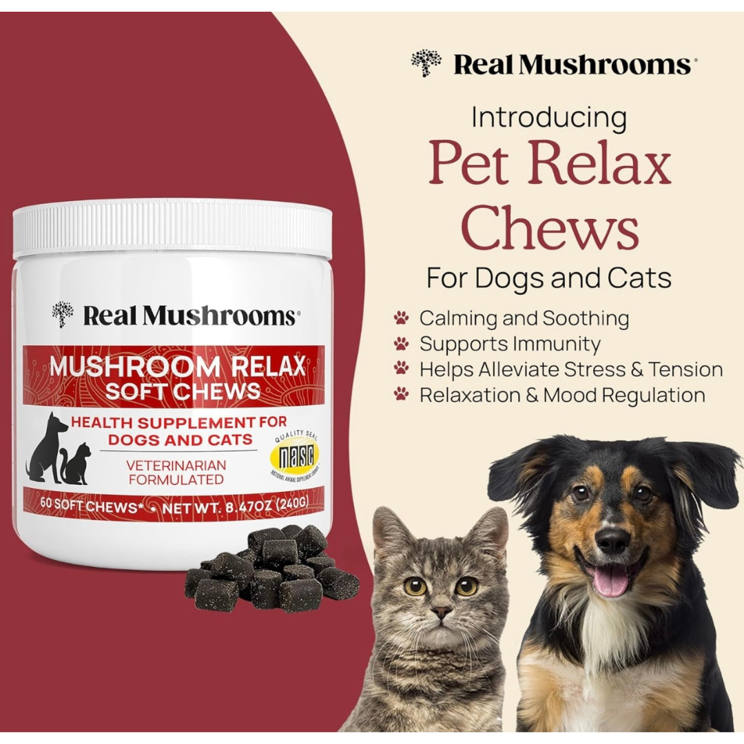 Real Mushrooms Relax Chews