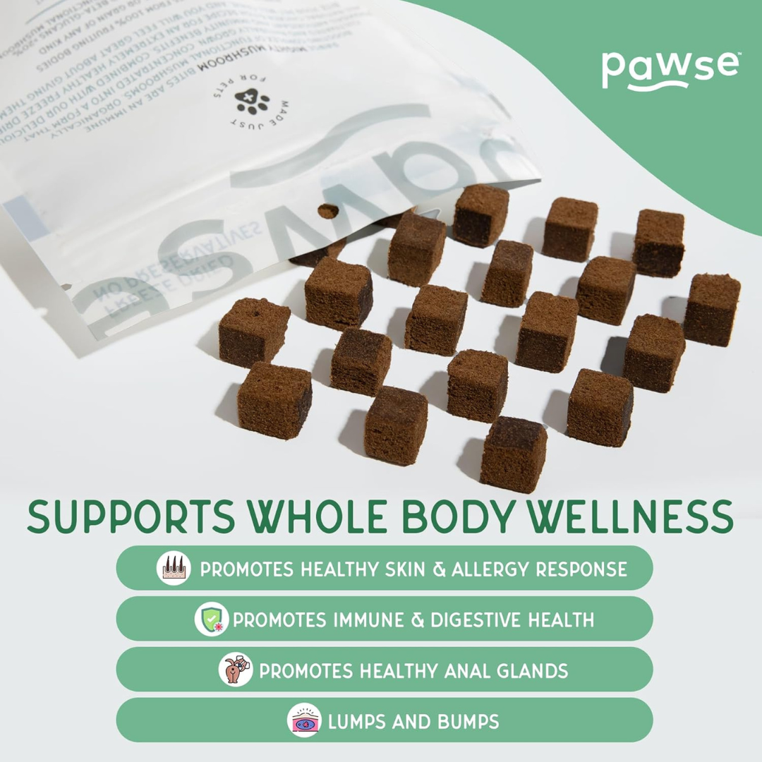 Pawse Mighty Mushrooms | Freeze-Dried Medicinal Mushroom Treats