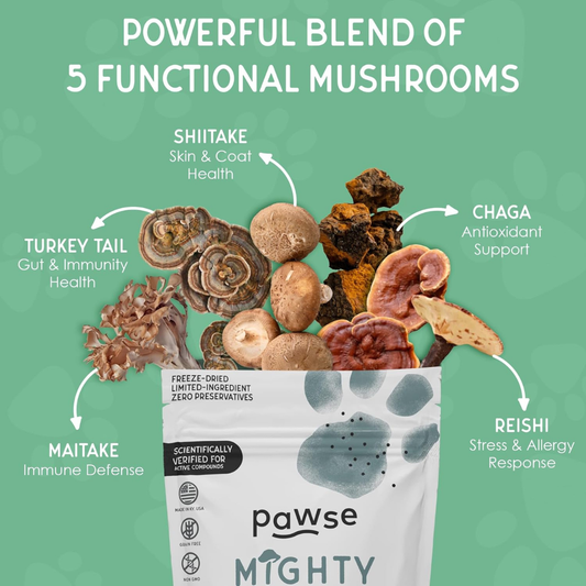 Pawse Mighty Mushrooms | Freeze-Dried Medicinal Mushroom Treats