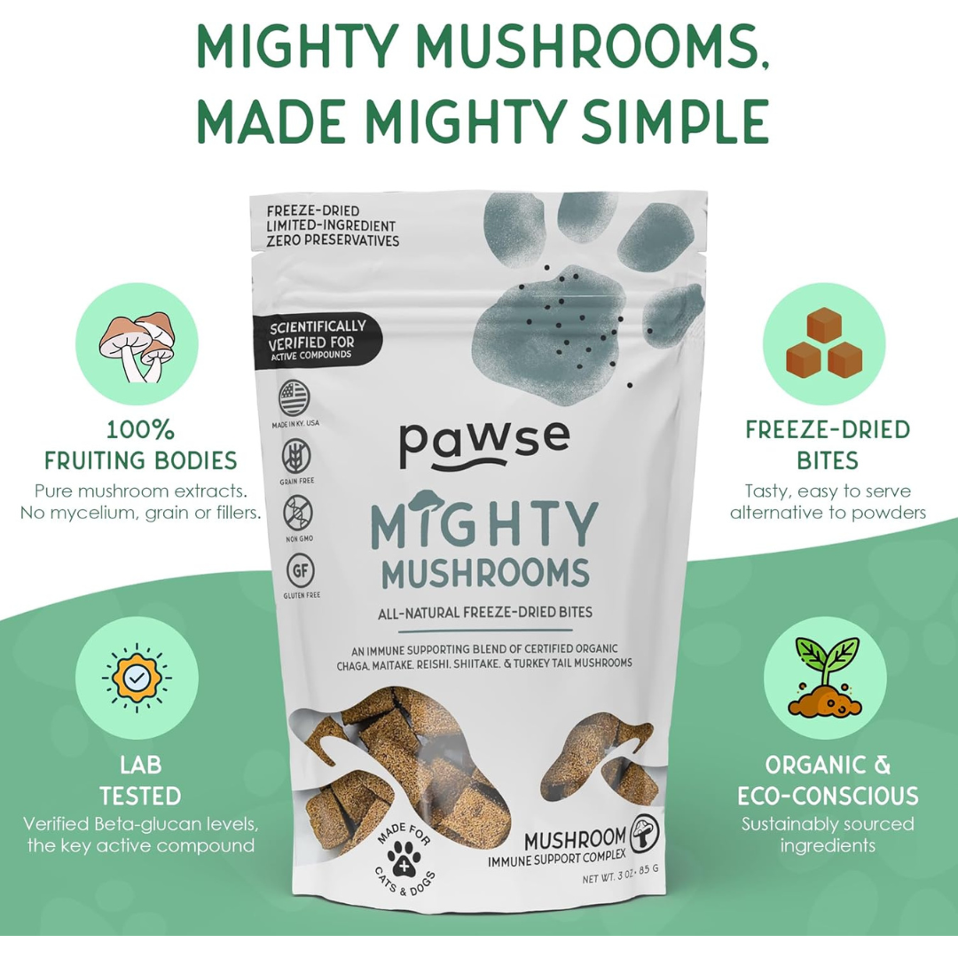 Pawse Mighty Mushrooms | Freeze-Dried Medicinal Mushroom Treats