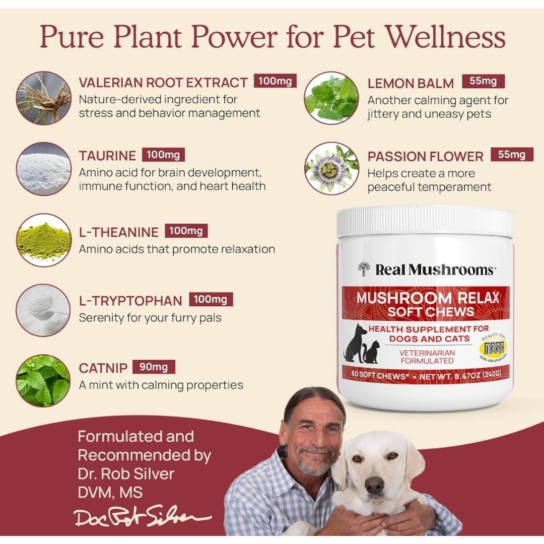 Real Mushrooms Relax Chews