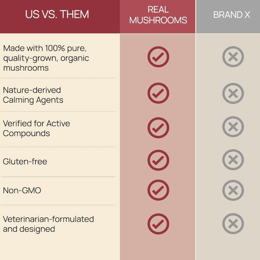 Real Mushrooms Relax Chews