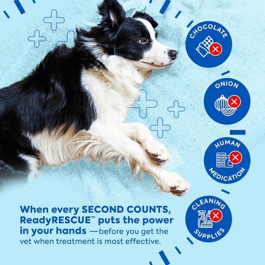 Dr. Cuddles ReadyRESCUE Single | Emergency Detox Aid for Dogs Under 30 lbs