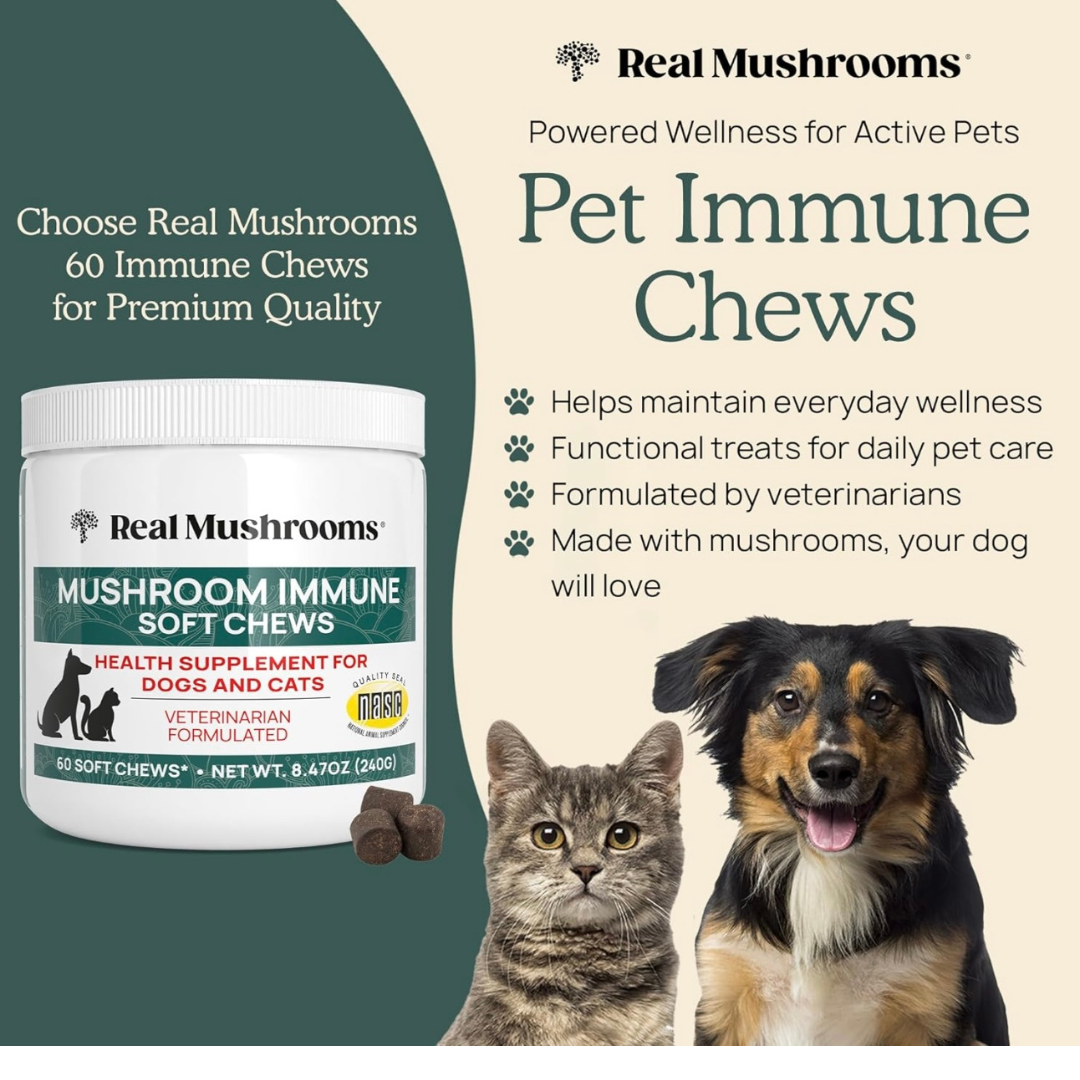 Real Mushrooms Immune Chews