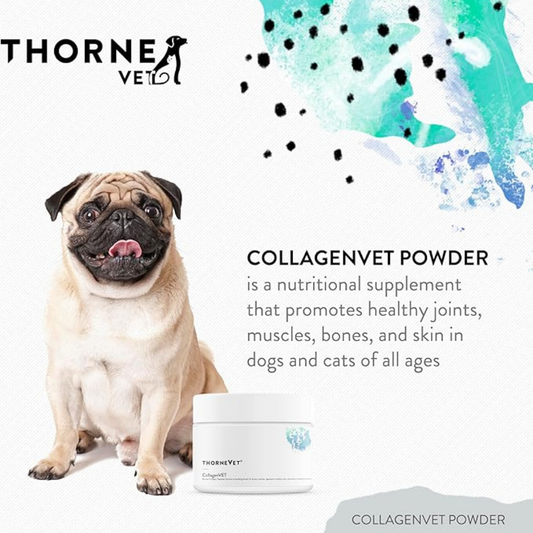 ThorneVet CollagenVET | Grass-Fed Collagen Peptides