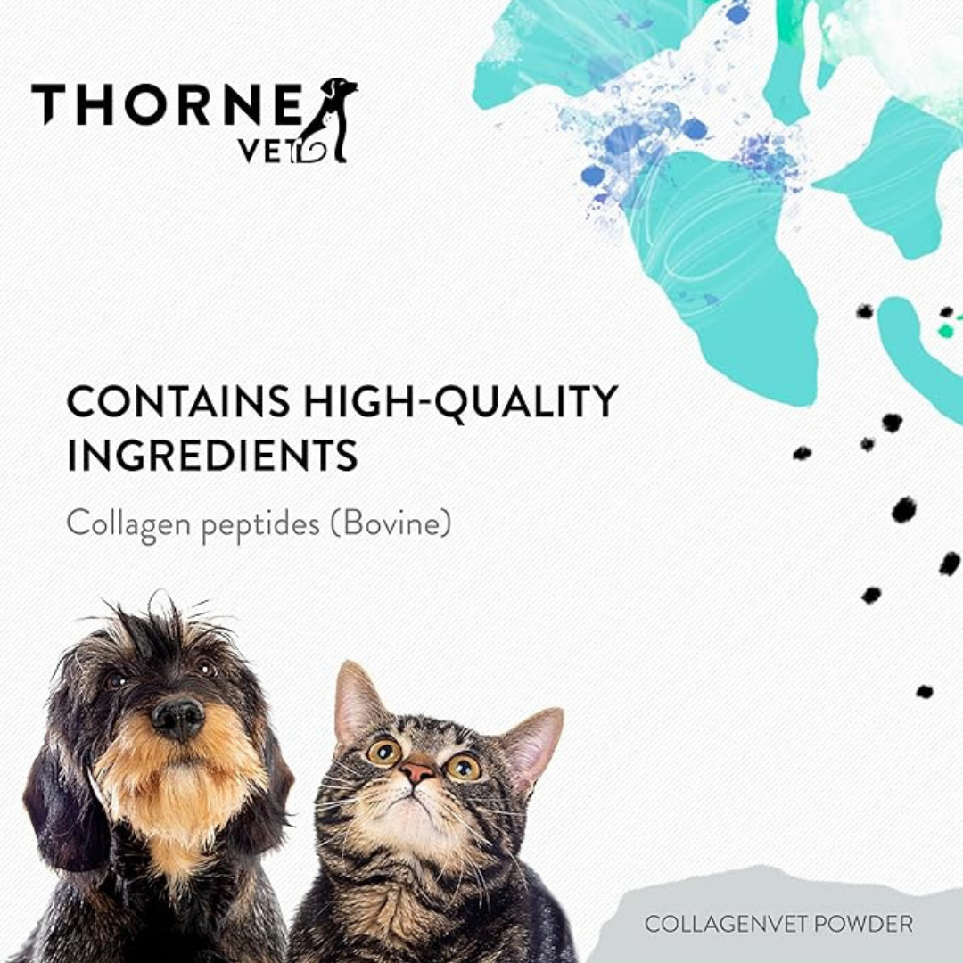 ThorneVet CollagenVET | Grass-Fed Collagen Peptides