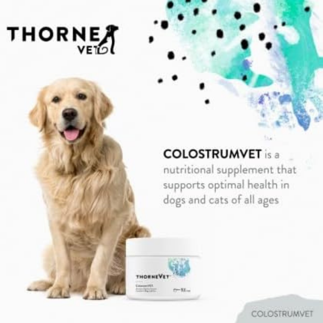 ThorneVet Colostrum | Immune Support + Gut Health