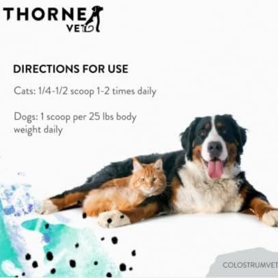 ThorneVet B-Complex Chews | Bioavailable B Vitamin Support