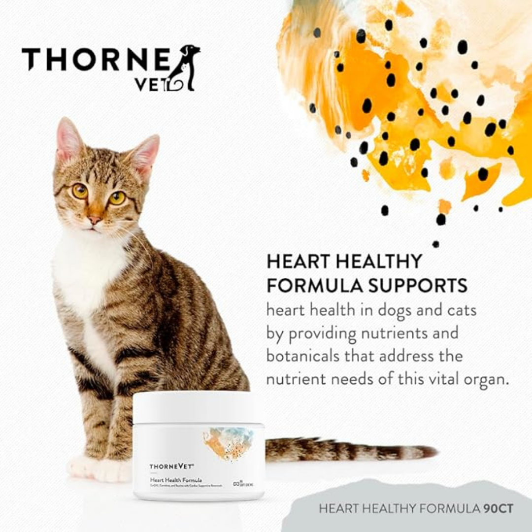 ThorneVet Heart Health | Advanced Cardiovascular Support