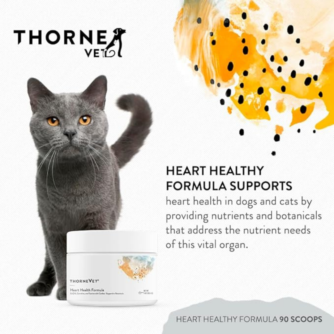 ThorneVet Heart Health | Advanced Cardiovascular Support
