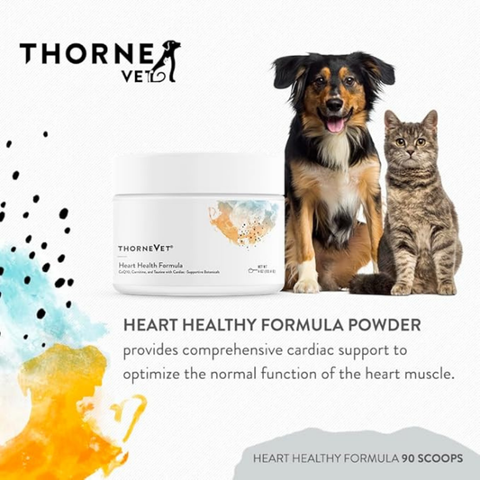 ThorneVet Heart Health | Comprehensive Cardiac Support