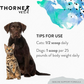 ThorneVet Immune Support | Whole-Body Immune Support + Antioxidants