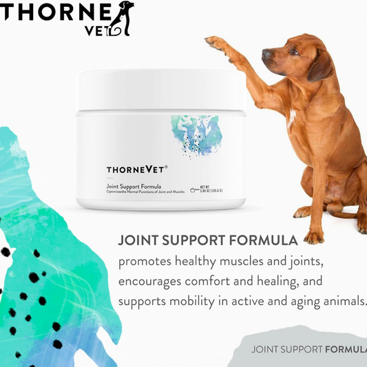 ThorneVet Joint Support | The Complete Natural Joint Supplement