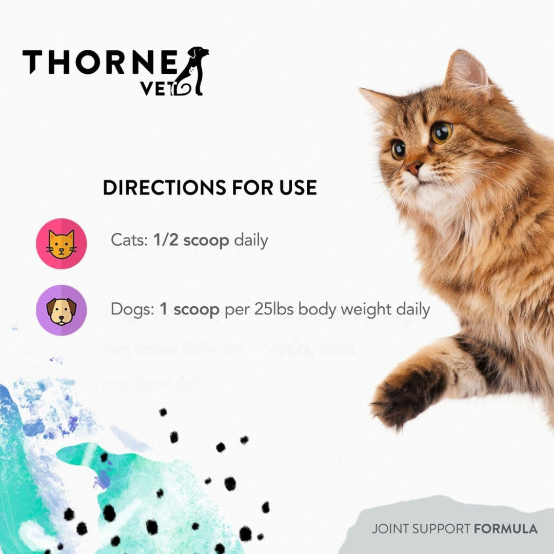 ThorneVet Joint Support | Advanced Mobility Support + Natural Anti-Inflammatories