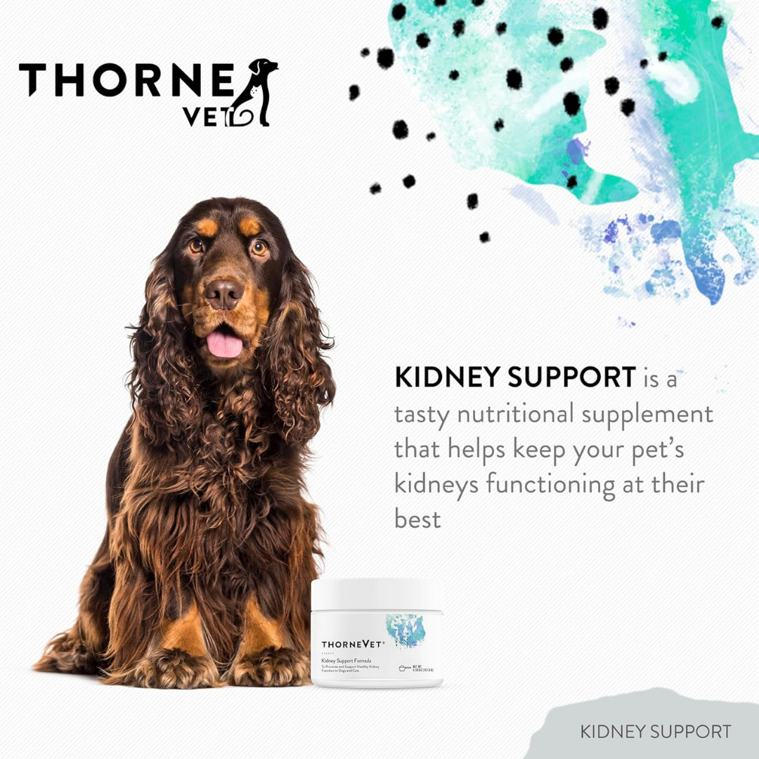 ThorneVet Kidney Support | Herbal & Antioxidant Renal Support