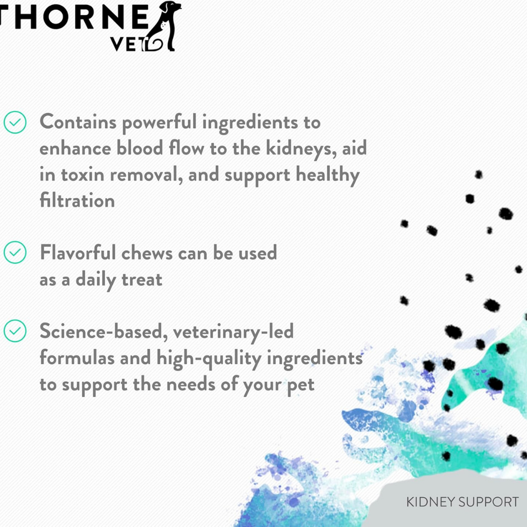 ThorneVet Kidney Support | Herbal & Antioxidant Renal Support