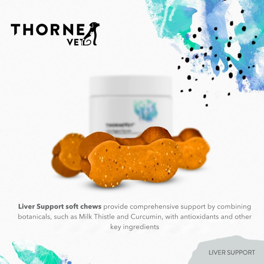 ThorneVet Liver Support | Liver Health + Detox Support