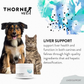 ThorneVet Liver Support | Liver Health + Detox Support