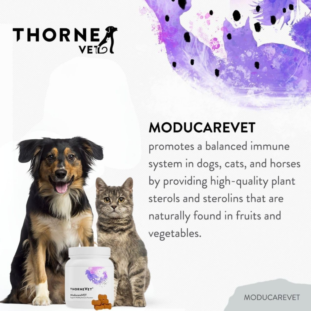 ThorneVet Moducare Chews | Immune + Allergy Support