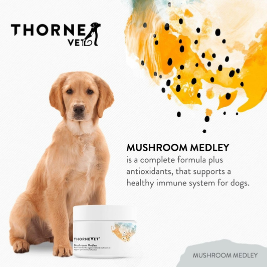 ThorneVet Mushroom Medley | Immune Supporting Mushroom Complex