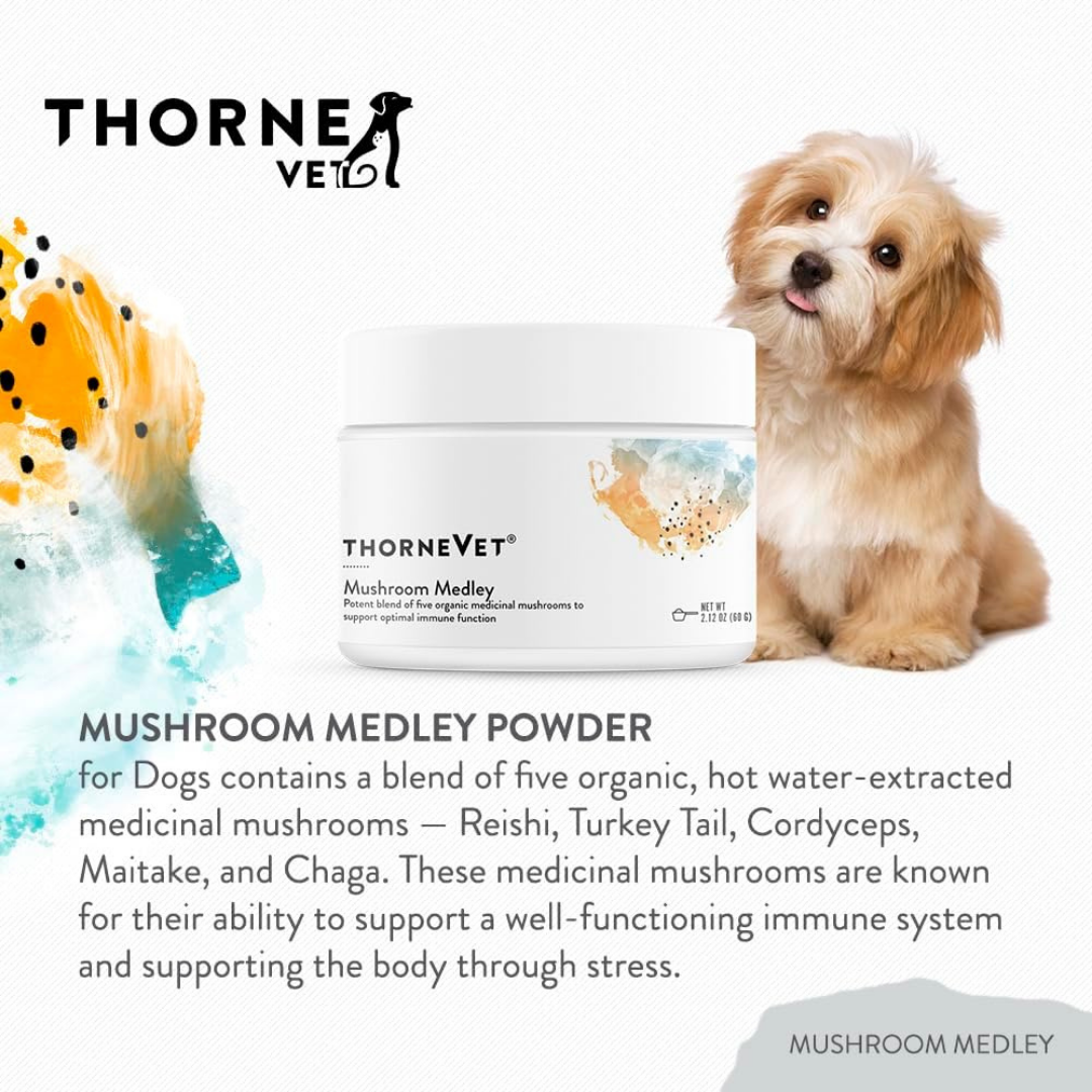 ThorneVet Mushroom Medley | Immune Supporting Mushroom Complex