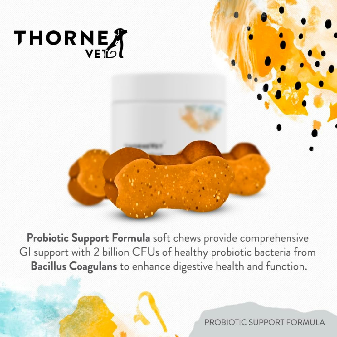 ThorneVet Probiotic Support | Soil-Based Dog Probiotics for Gut Health