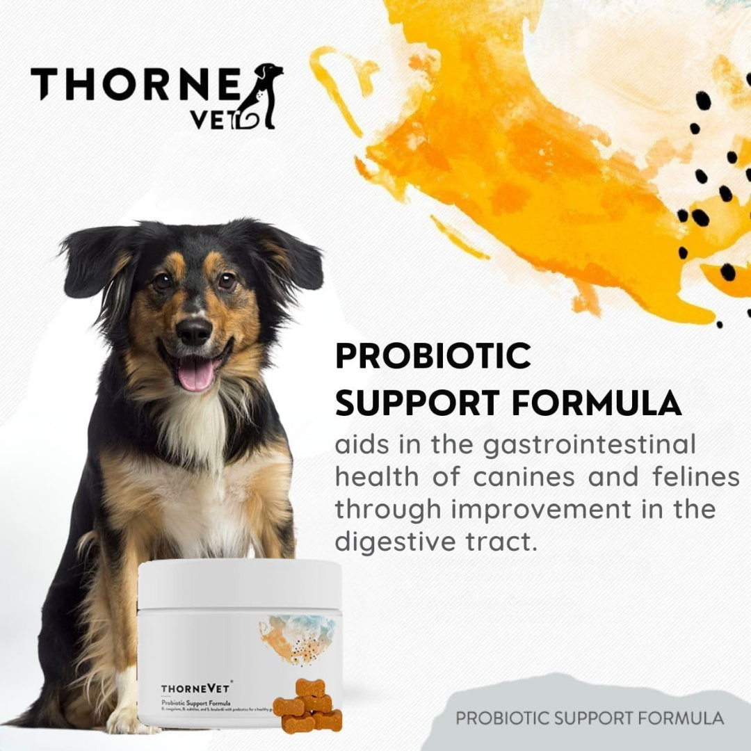ThorneVet Probiotic Support | Soil-Based Dog Probiotics for Gut Health